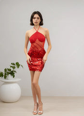 Robe courte moulante dos-nu à col tour de cou & buste et jupe entièrement pailletés avec empiècement en tulle – Robe cristalline brillante | Dressie Dress