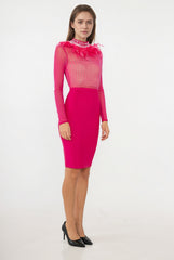 Robe fourreau midi haut transparent à strass verticaux en tulle manches longues-col plumeux glamour | Dressie Dress