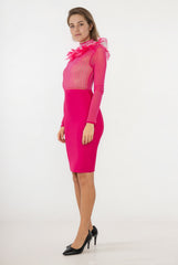 Robe fourreau midi haut transparent à strass verticaux en tulle manches longues-col plumeux glamour | Dressie Dress